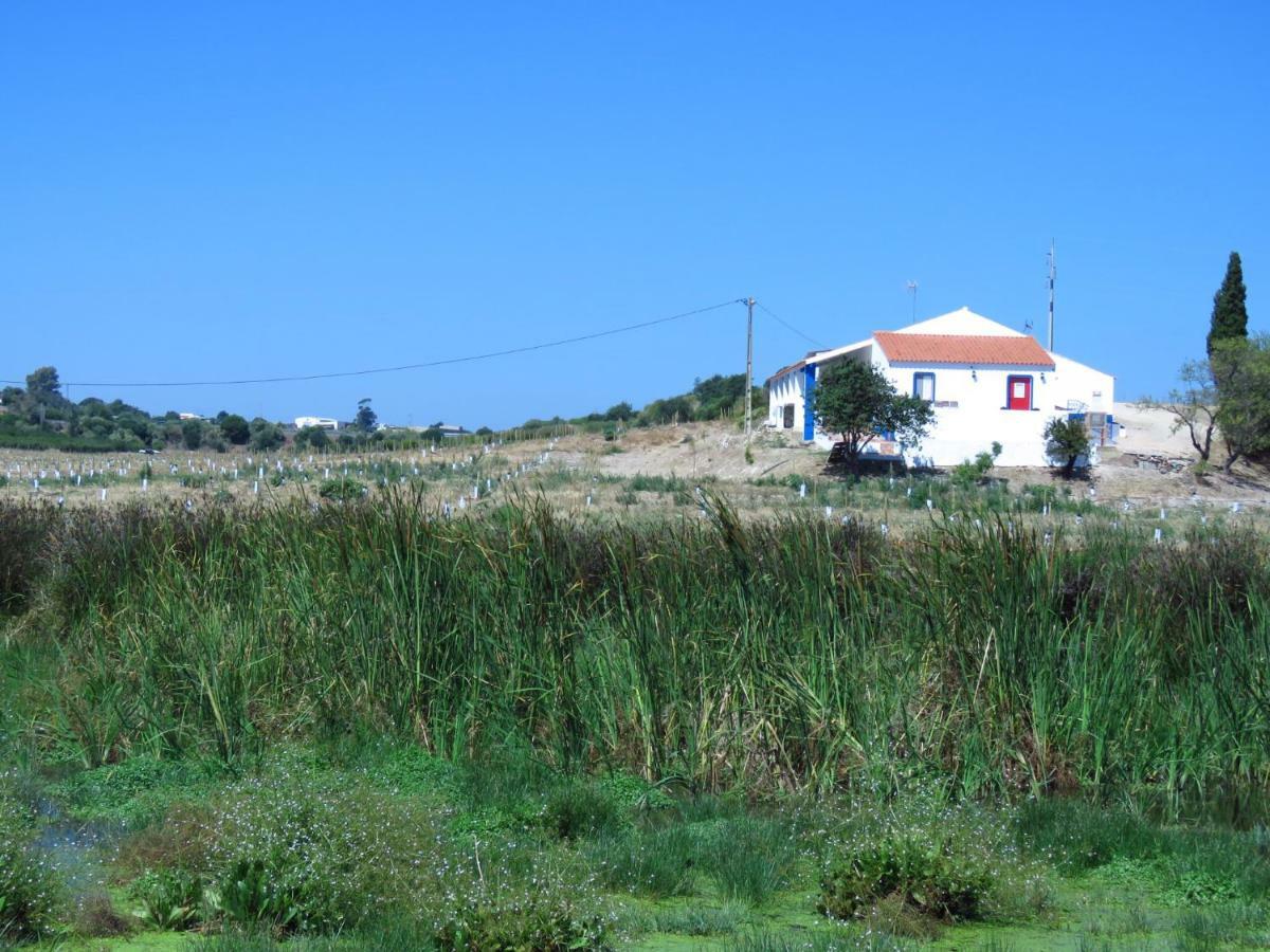 Vale Do Boto-Quinta Com 3 Casas Villa Castro Marim Luaran gambar
