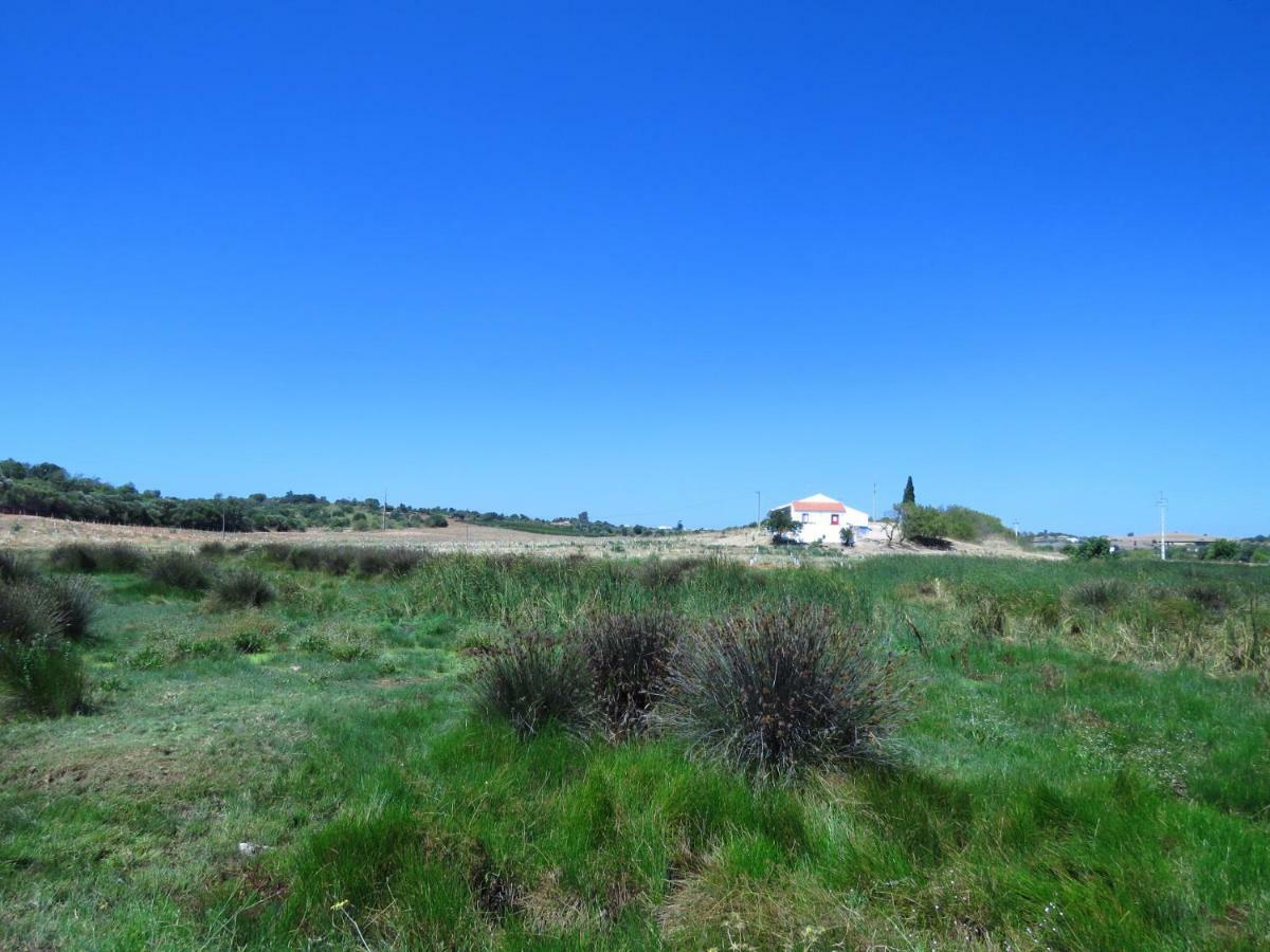 Vale Do Boto-Quinta Com 3 Casas Villa Castro Marim Luaran gambar